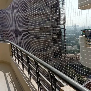 Bird Netting Services