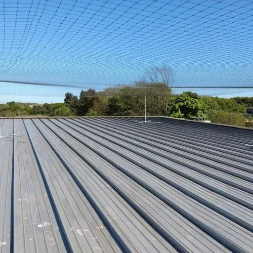 Industrial Bird Net