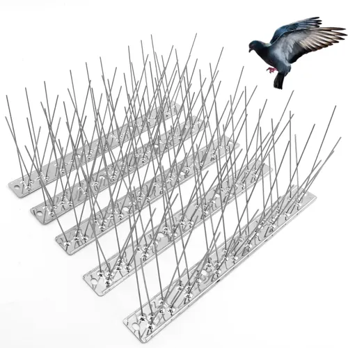 Bird Spikes